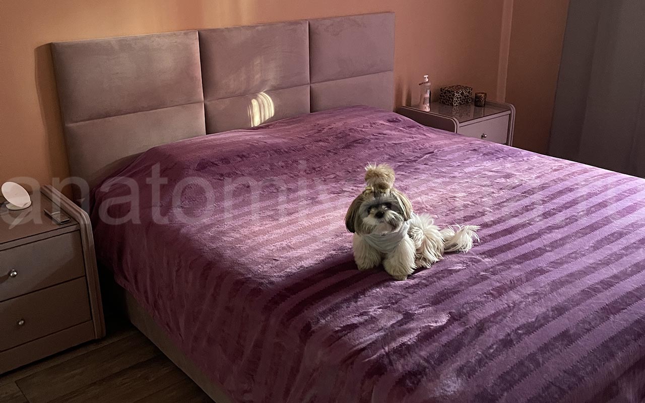 отзыв о Кровать Galaxy Венера 5