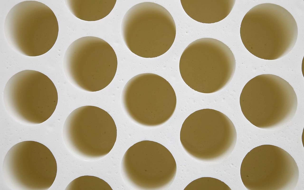 Лиена LA Dome 15 см фото 5